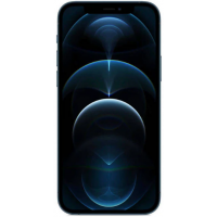 iPhone 12 Pro A2407